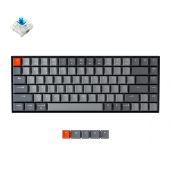 Mechanical Keyboard Keychron K2 Compact Gateron Blue Switch White LED Gateron Blue Switch ABS