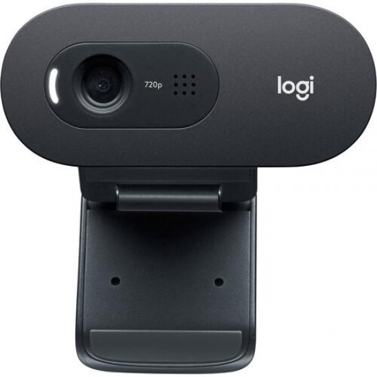 Web Cam with microphone LOGITECH C505, HD, USB2.0